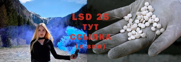 спайс Ладушкин