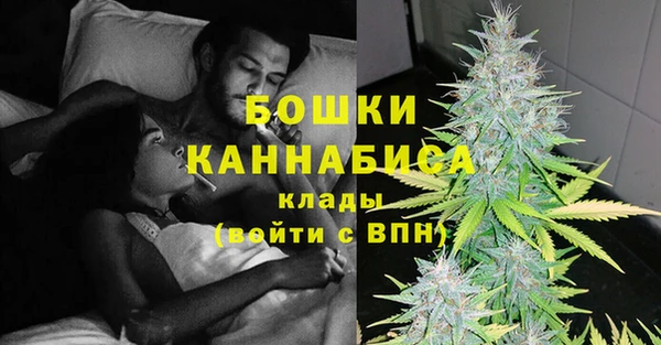 спайс Ладушкин